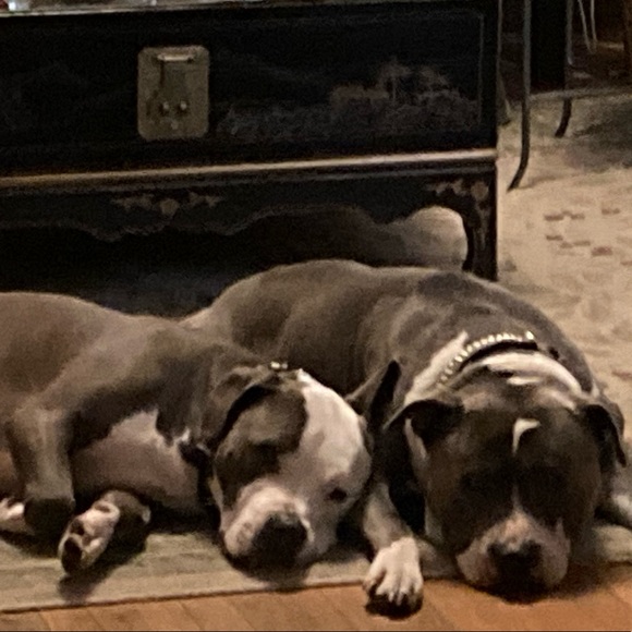 Meet your Posher, Francesca - Picture 11 of 16